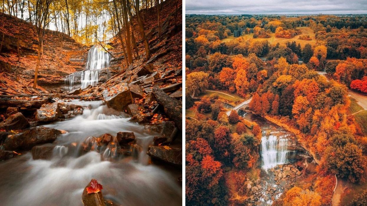 A waterfall surrounded by autumn colours.