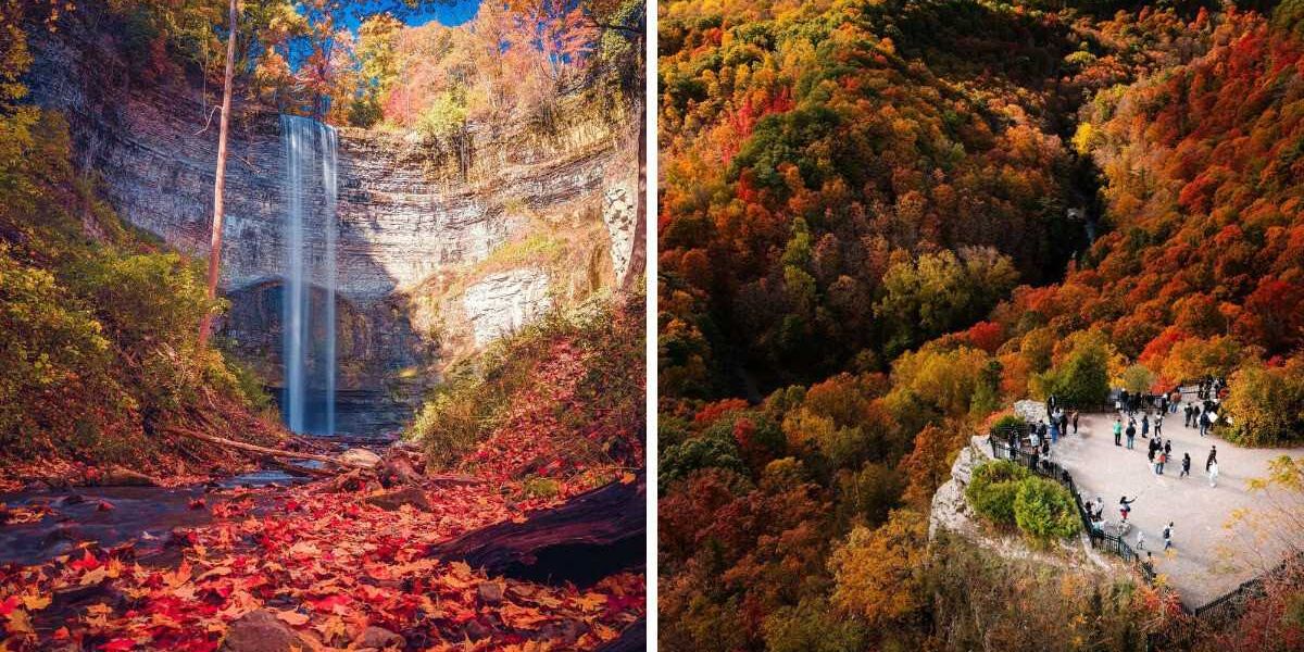 This park near Toronto has 2 dreamy waterfalls and a lookout over a sea of fall colours, Life in canada This park near Toronto has 2 dreamy waterfalls and a lookout over a sea of fall colours, Life in canada