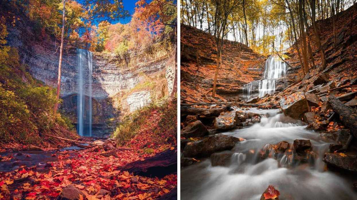 A waterfall surrounded by fall colours. Right: A waterfall in a forest.