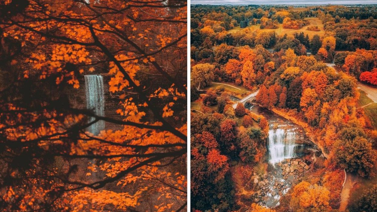 A waterfall surrounded by fall colours.