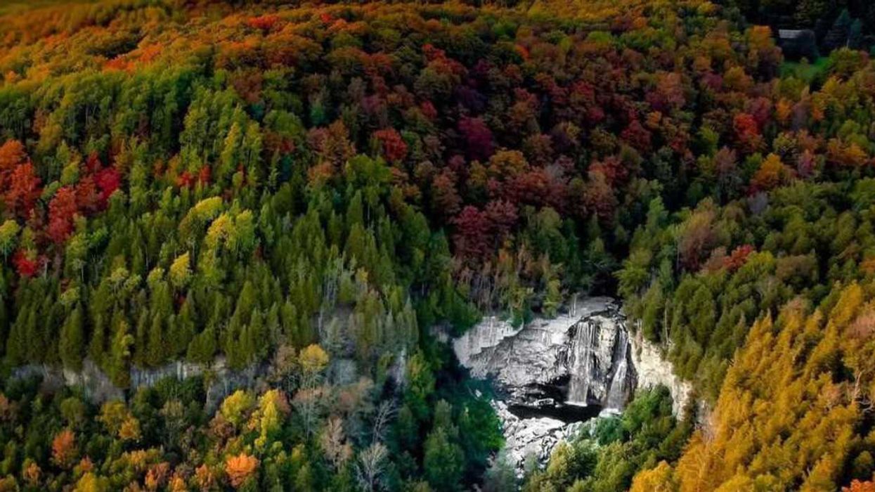 A waterfall surrounded by fall colours.