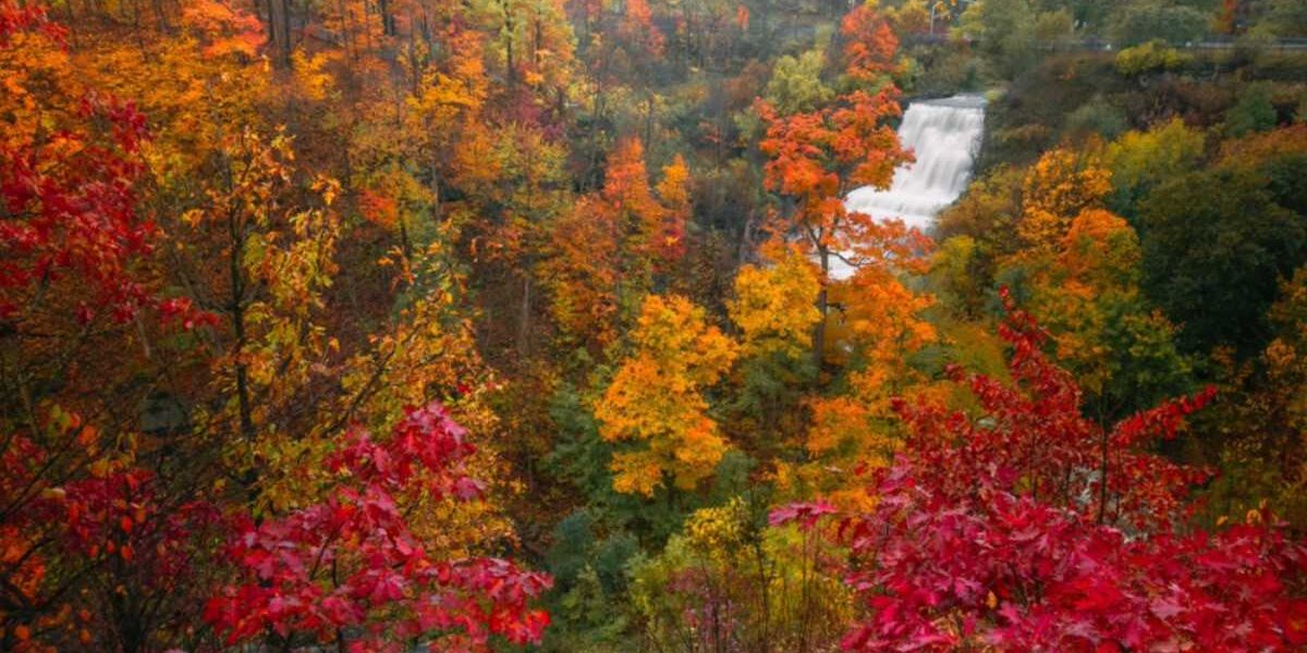 This majestic waterfall 1 hour from Toronto is the best alternative to Niagara Falls
