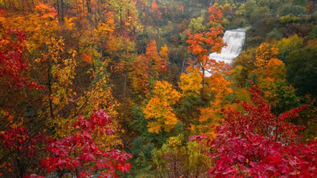 A waterfall surrounded by fall colours.