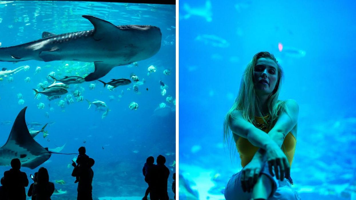 A whale shark and manta ray at the Georgia Aquarium. Right: A woman in a yellow tank top poses in the Georgia Aquarium.