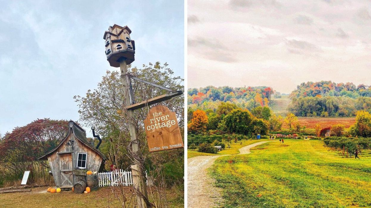 A whimsical cabin with pumpkins. Right: An apple orchard.