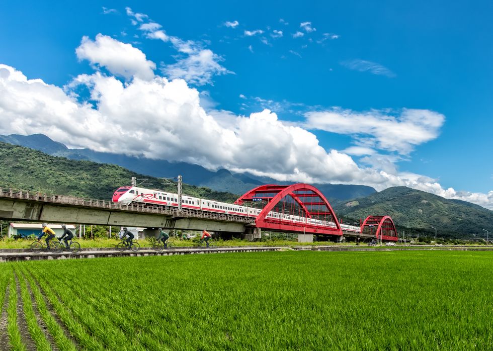 A white and red passenger train running alongside a cycling path and rice fields. 