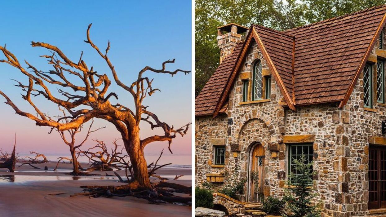 A winding eroded tree of Driftwood Beach. Right: A stone rental cottage in Candlelight Forest.