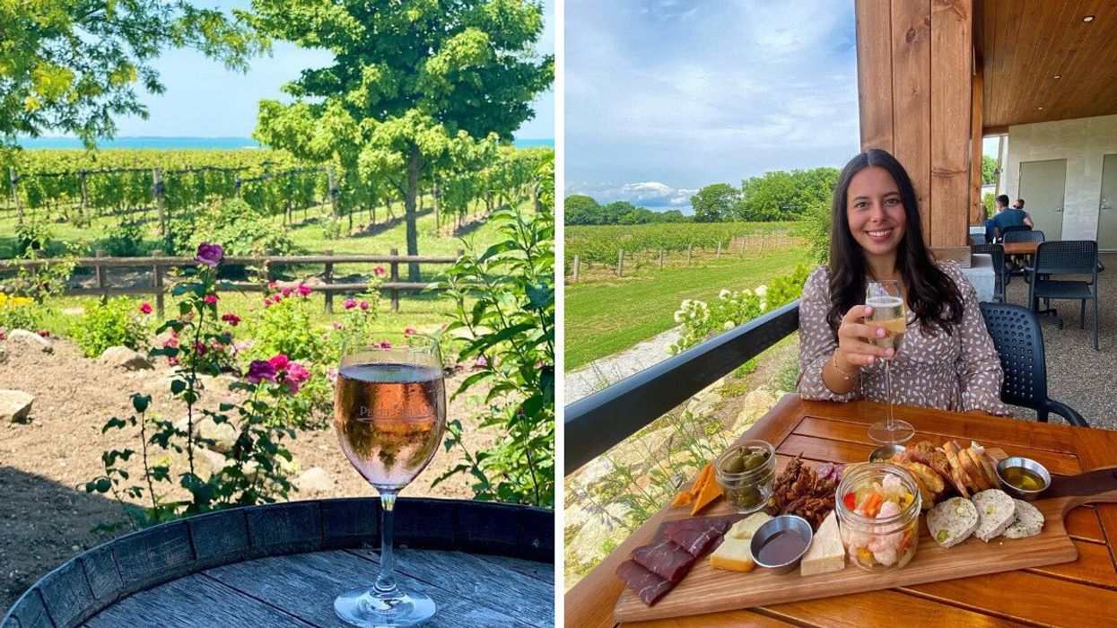 A wine glass in a vineyard. Right: A person sitting on a patio with food.
