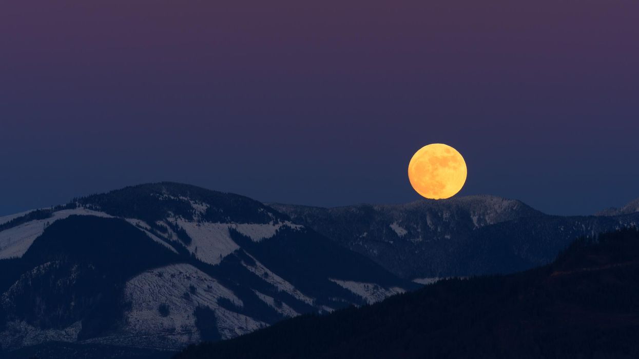 A 'Wolf Moon' Can Be Seen In BC & Alberta Tonight & Here's When Peak Illumination Hits