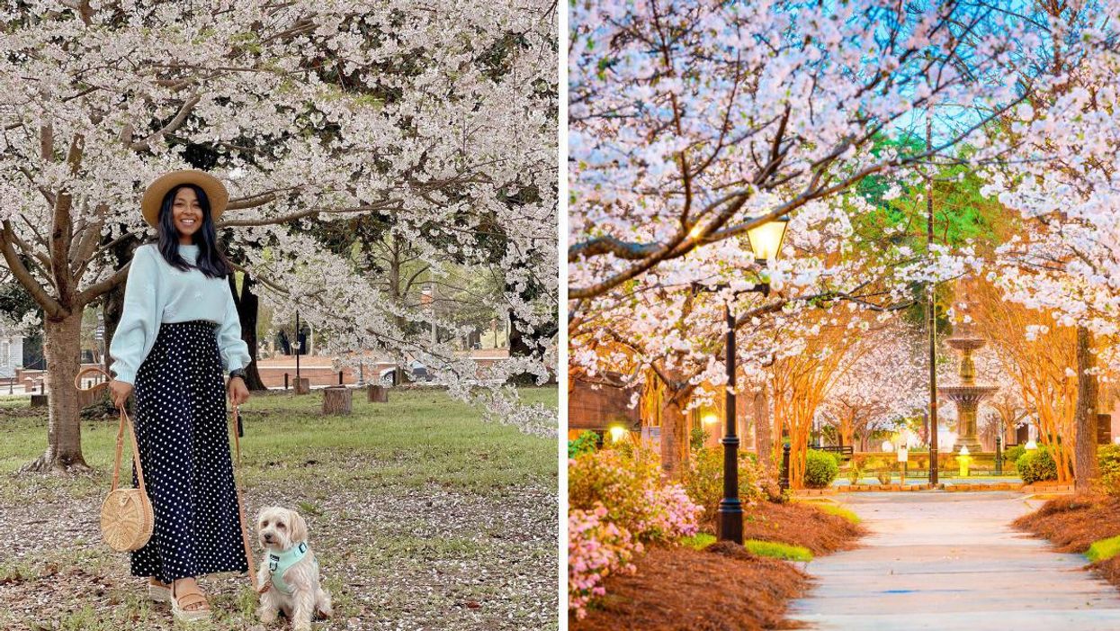 A woman and her dog Ted in Macon, GA. Right: Macon, GA in the spring.