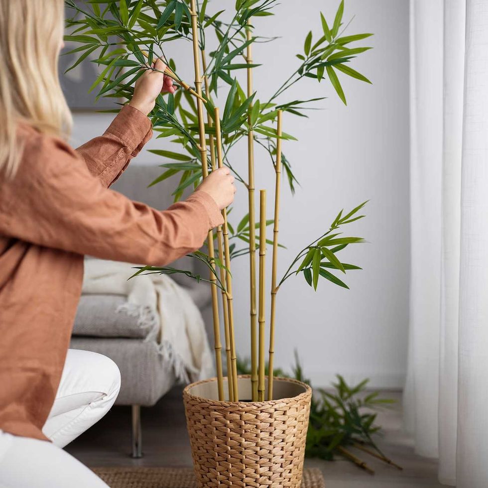 A woman arranged branches of a fake bamboo plant in a light-filled room.