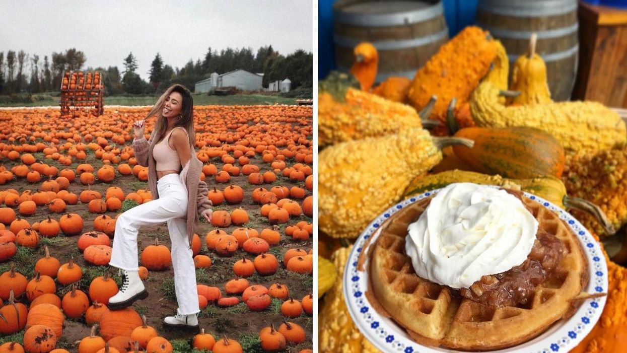 A woman at Maan Farms Market and Estate Winery. Right: Pumpkin Spice waffles from Krause Berry Farms & Estate Winery.
