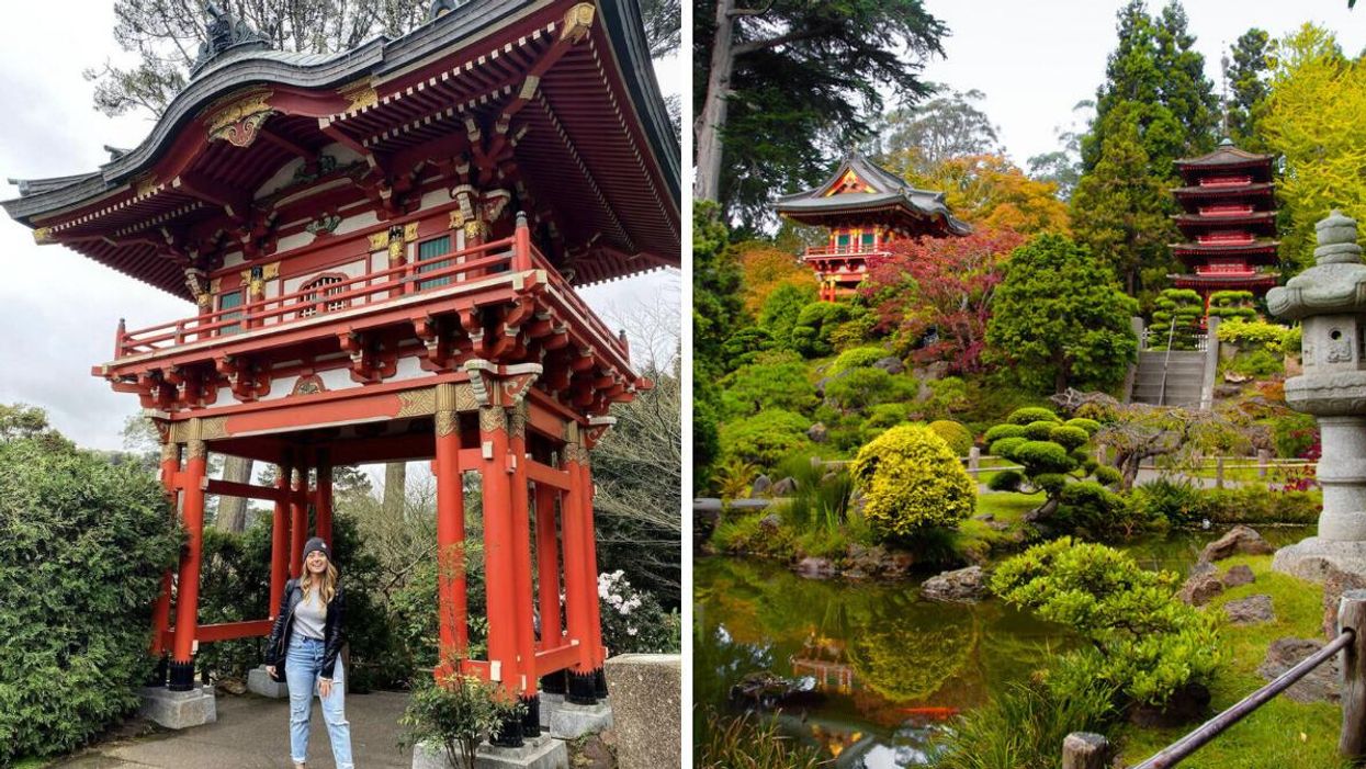 A woman at the Japanese Tea Garden in San Francisco, CA. Right: A pond and trees at the Japanese Tea Garden in San Francisco, CA.