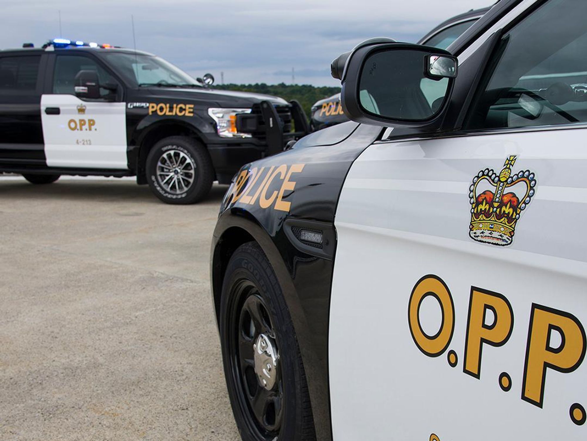A Woman Died On Highway 401 After Being Hit By 'One Or More Vehicles' Near Whitby