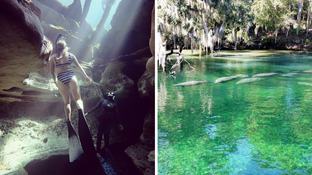 a woman diving into the cave. Right: manatees in the clear blue spring.