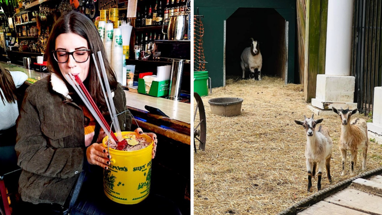 A woman drinking from a bucket. Right: Goats at Silky O'Sullivan's.