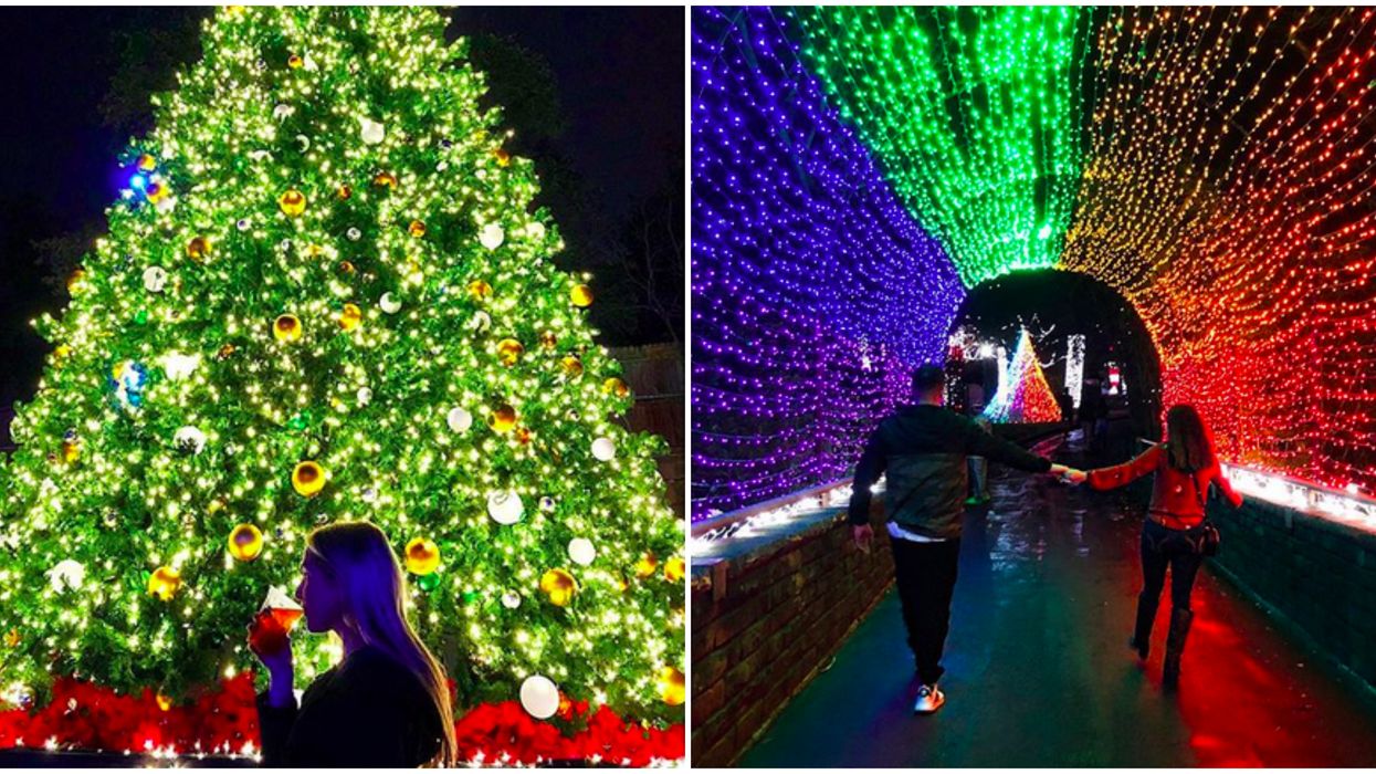 A woman drinking from a cup in front of a Christmas tree. Right: A couple holds hands underneath a tunnel of lights.
