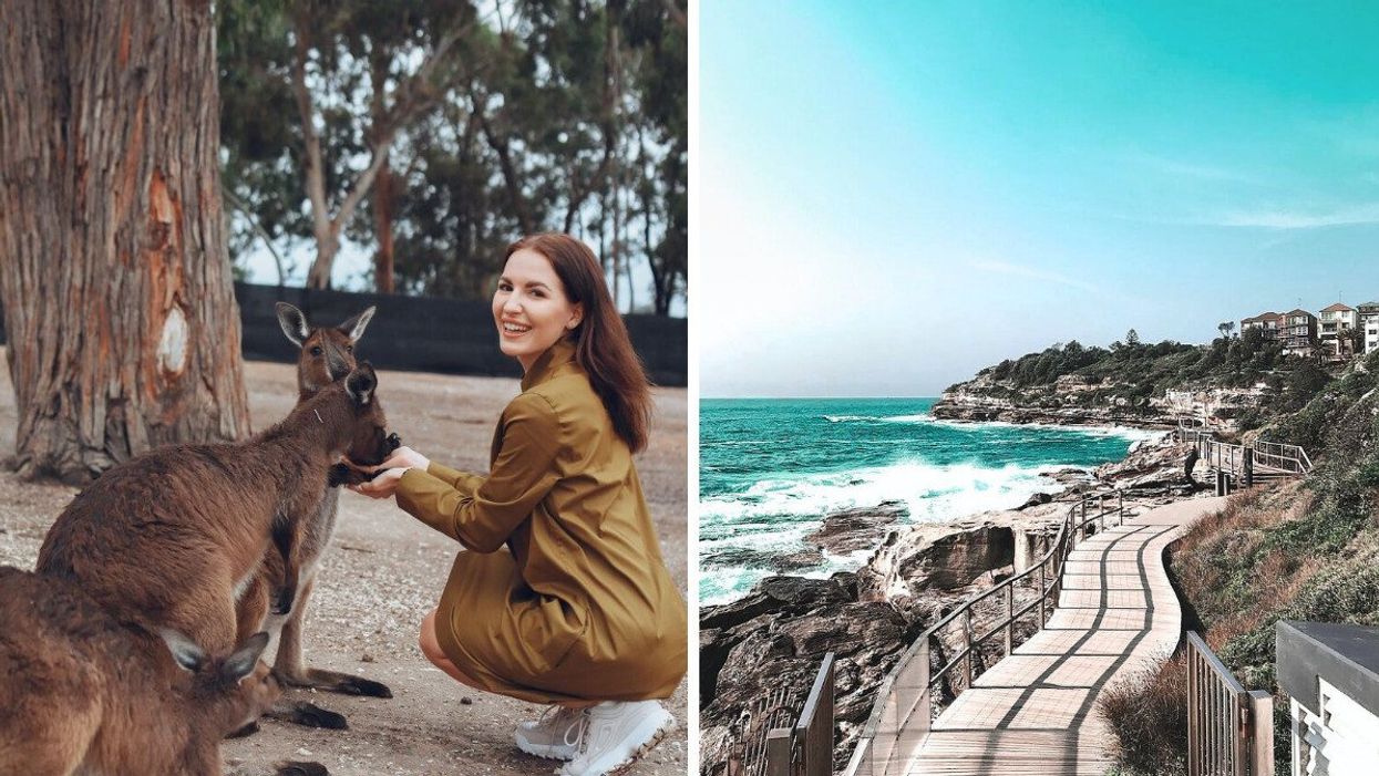 A woman feeding kangaroos. Right: Bondi Beach in Australia