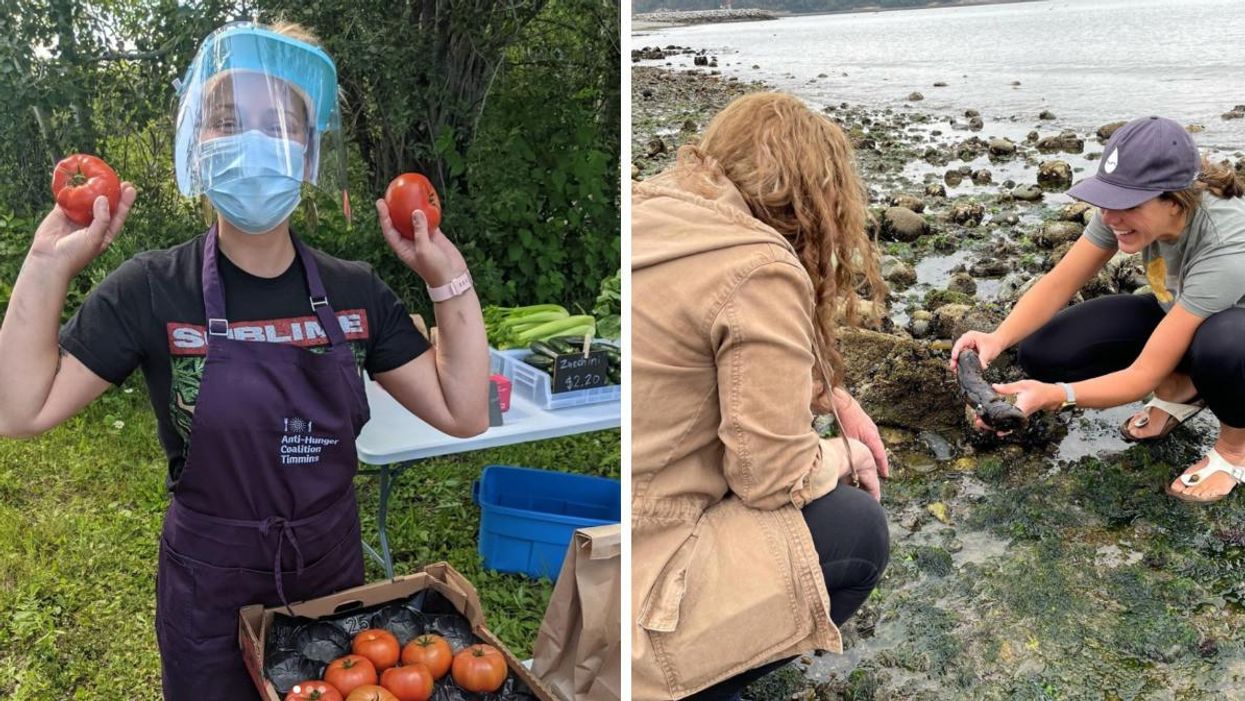 A woman holding tomatoes. Right: A woman showing something to another woman on the shore.