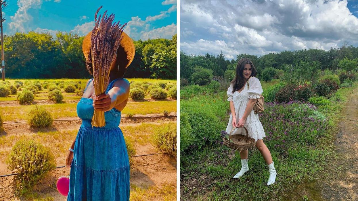 A woman holds a bouquet of lavender picked at Lavender Ridge Farms. Right: A woman at Lavender Ridge Farms.