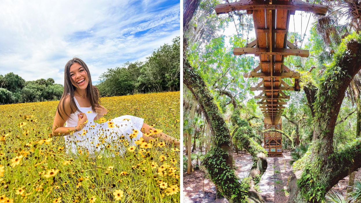 A woman in a flower field at Myakka River State Park. Right: Under the bridge at Myakka River State Park.