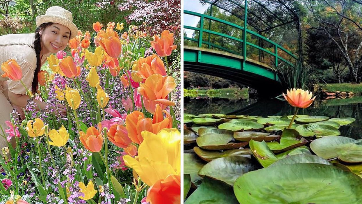 A woman in a hat stands in a field of colorful flowers. Right: Monet bridge over the waterlily pond.