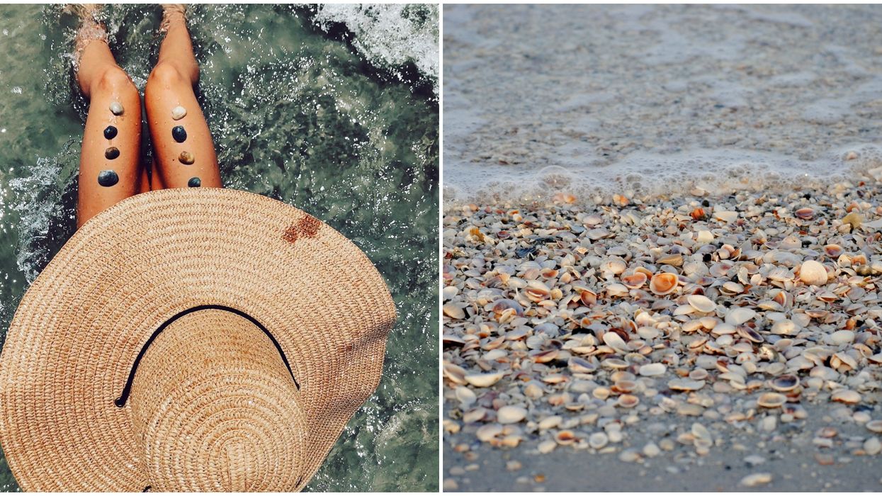 A woman in a sun hat with shells on her legs in the water. Right: Seashells on the sea shore.