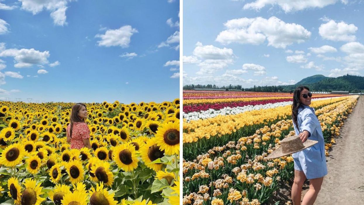 A woman in a sunflower field. Right: A woman in a peony field.