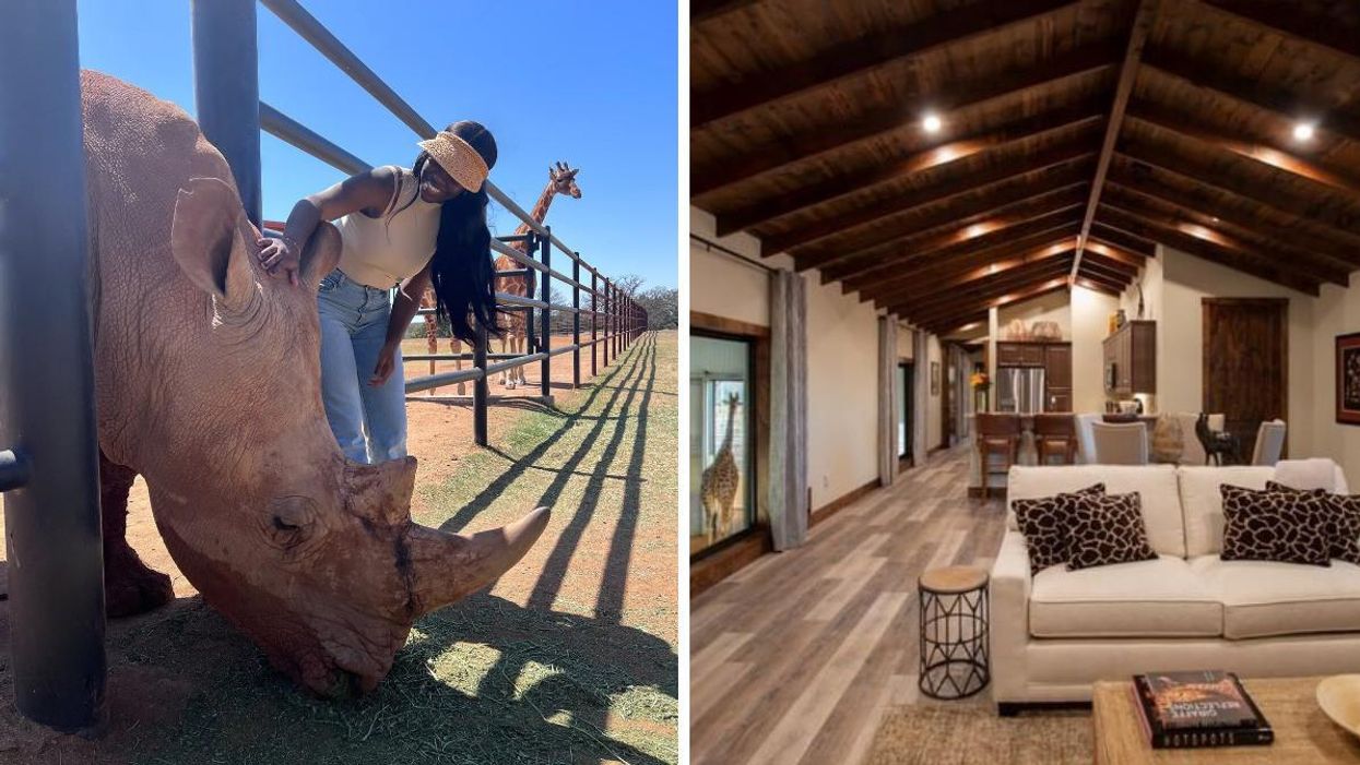 A woman meets one of the rhinos at Longneck Manor. Right: A view of the suite.