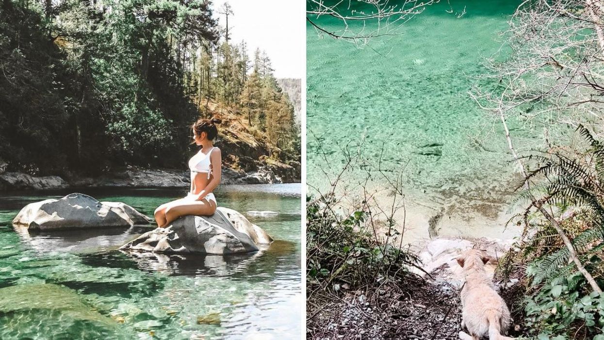 A woman on a rock at a swimming hole. Right: A dog walking into a swimming hole.
