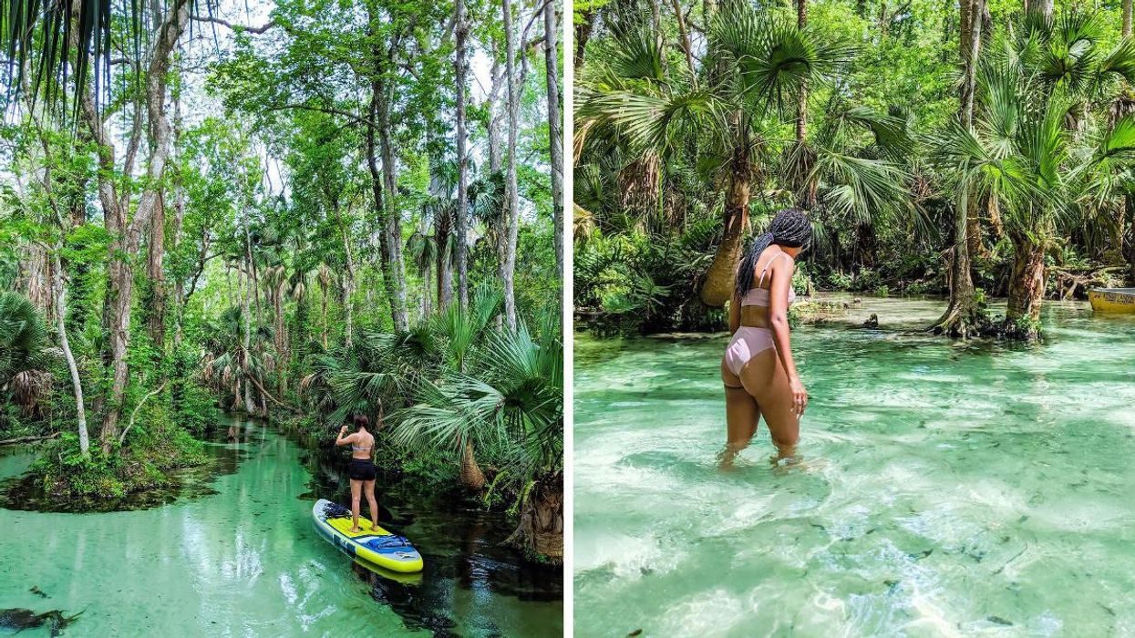 A woman on a yellow paddle board drifts through a grove of trees in clear water. Right: A woman wades through crystal clear water.