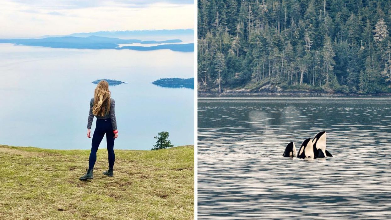 A woman on Saturna Island. Right: Three orcas in the ocean.