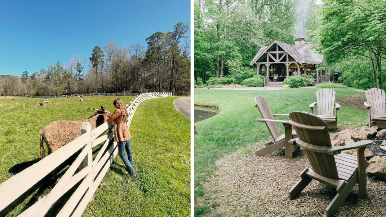 A woman petting a donkey at Blackberry Farm. Right: Chairs around a fire pit in front of a building at Blackberry Farm.