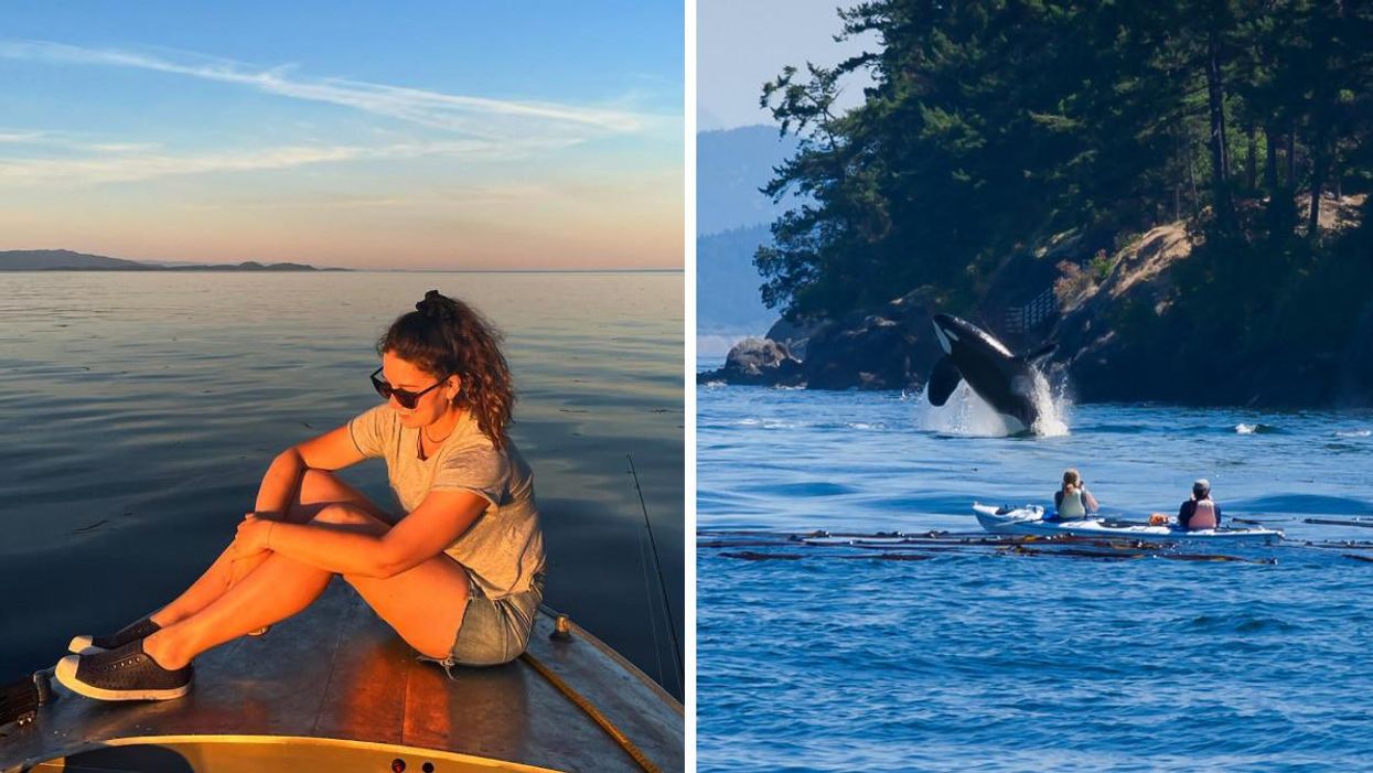 A woman sitting on a boat. Right: An orca whale jumping near kayakers.