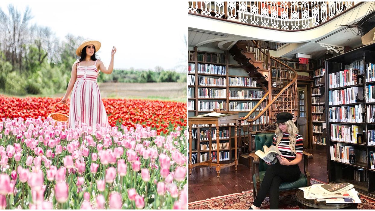 A woman stands in a tulip field. A person reading in an old-style library.