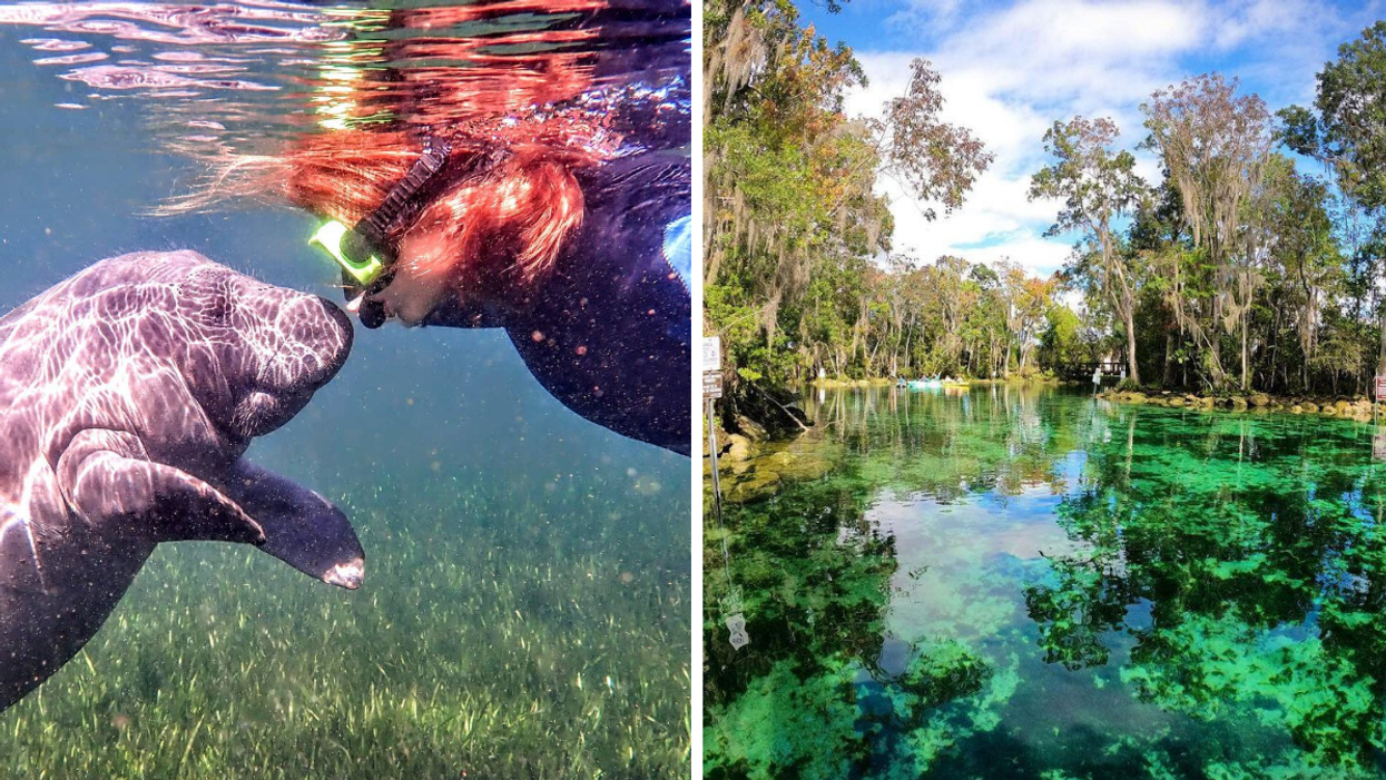 A woman swimming with a manatee. Right: Crystal River just north of Tampa.
