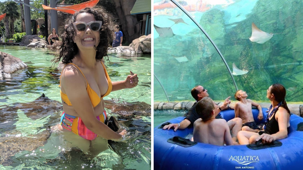 A woman swimming with stringrays. Right: A family on the Stingray Falls ride.