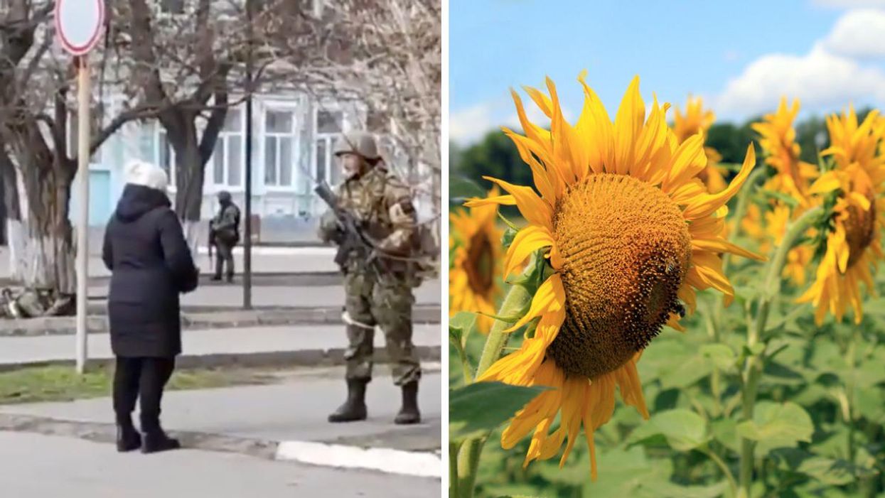 A woman tells off a Russian soldier in Ukraine. Right: a field of sunflowers.