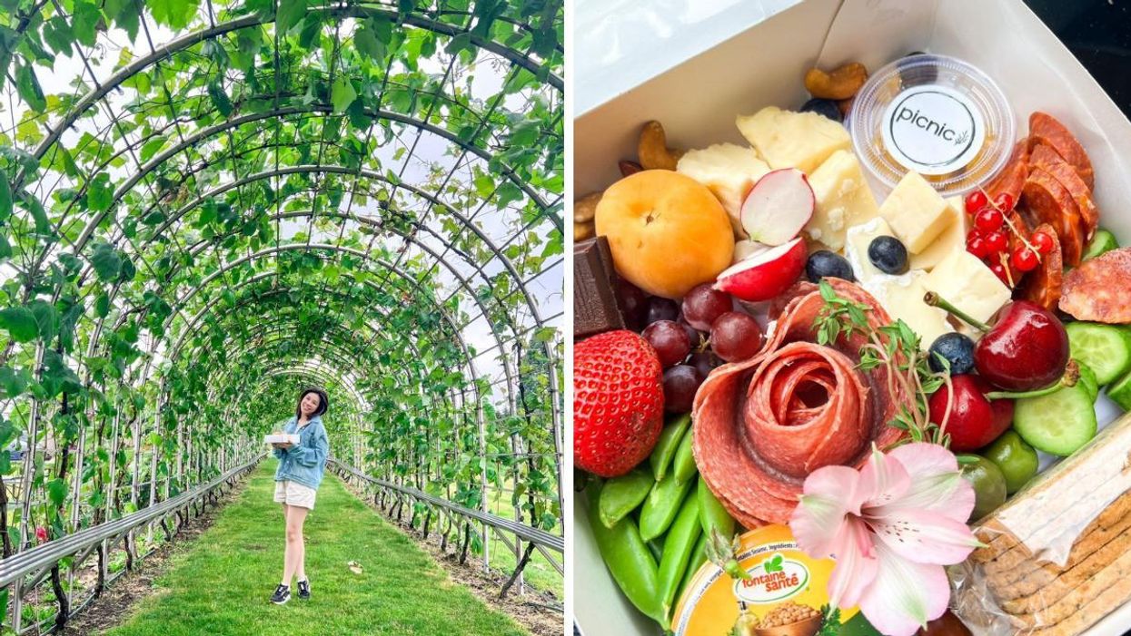 A woman under the grape vine tunnel. Right: Charcuterie.
