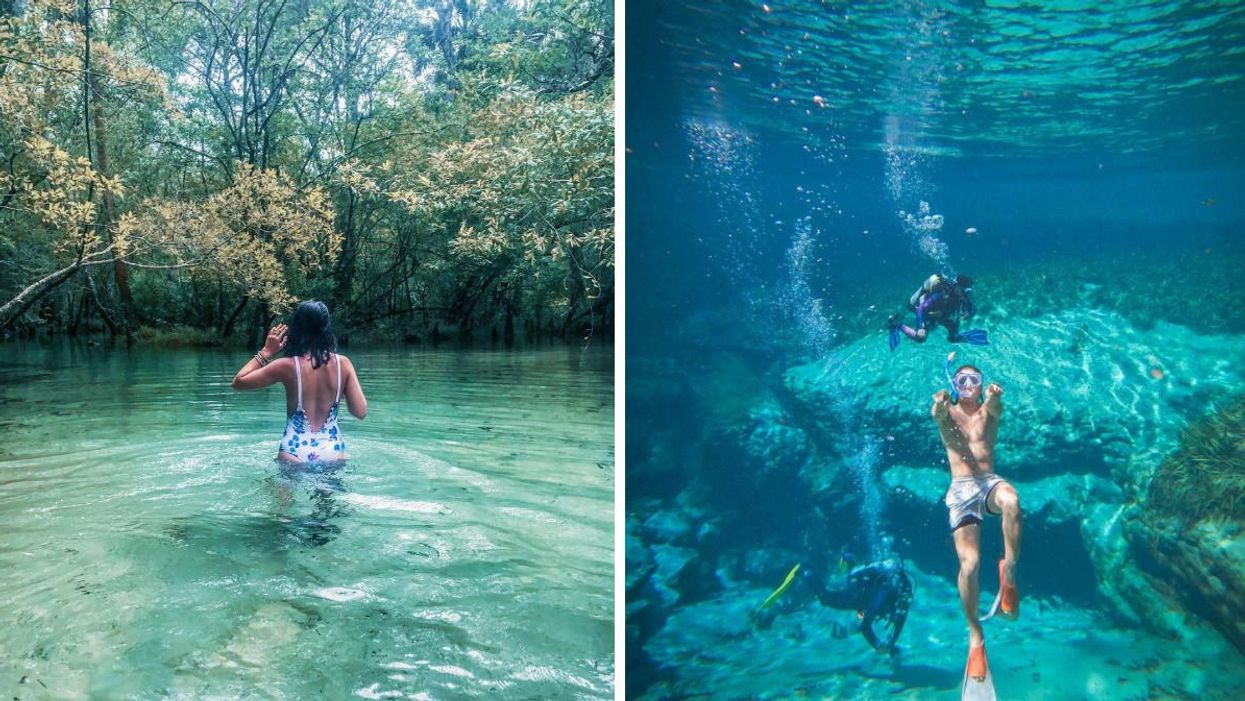 A woman wading in the springs. Right: A man in snorkeling gear diving in the springs.
