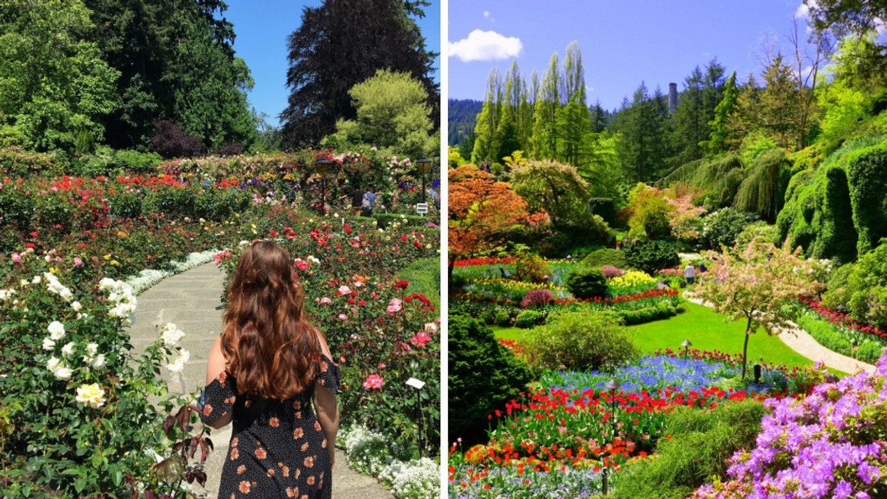A woman walking along a path in a garden. Right: An aerial view of gardens and trees.