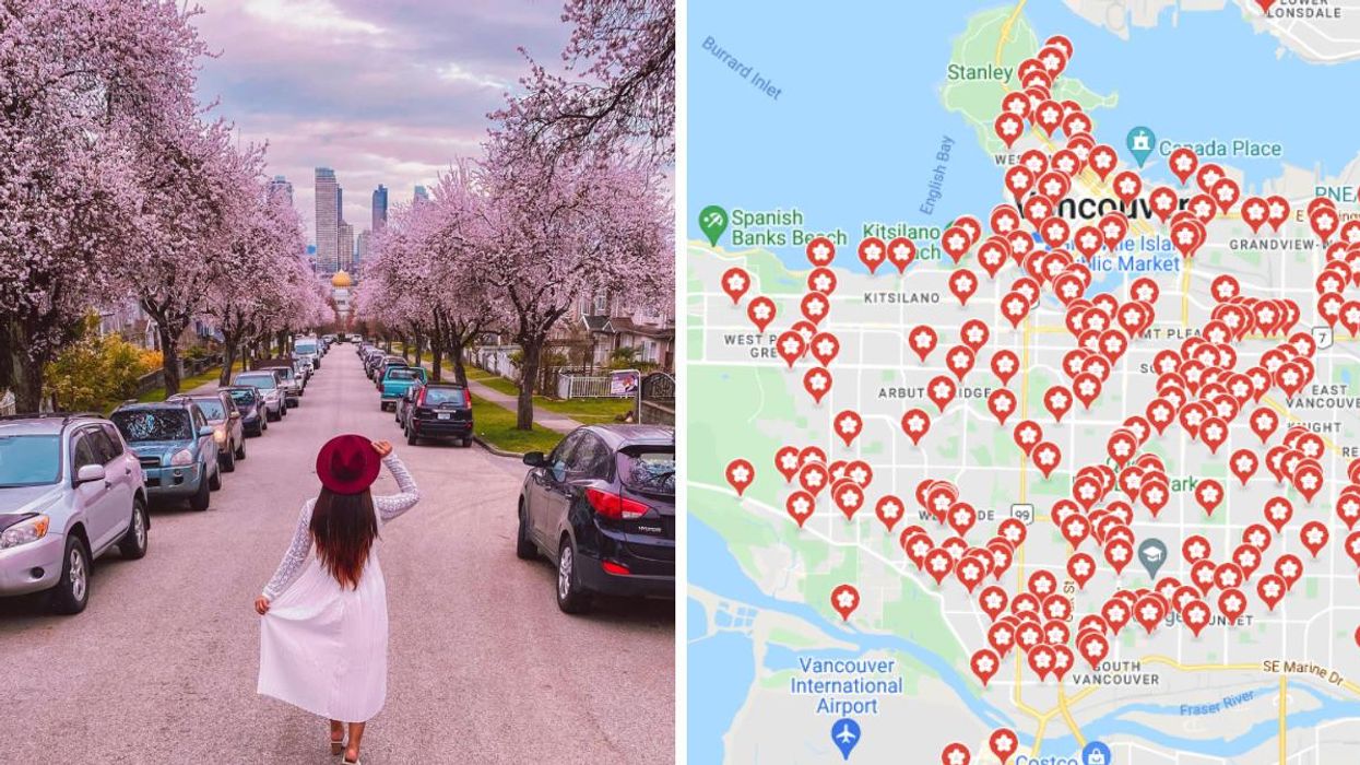 A woman walking through the streets with cherry blossoms on the sides. Right: Map.