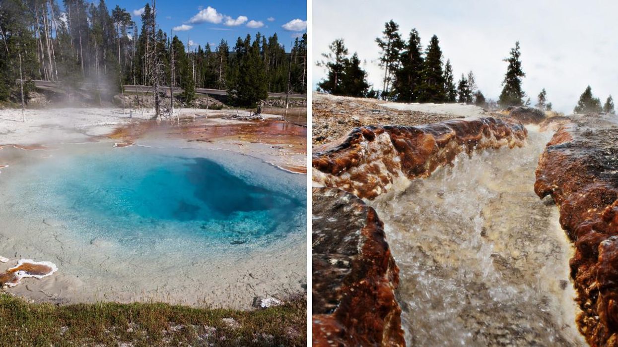 A Woman Was Jailed For Exploring A Deadly Area Of Yellowstone National Park