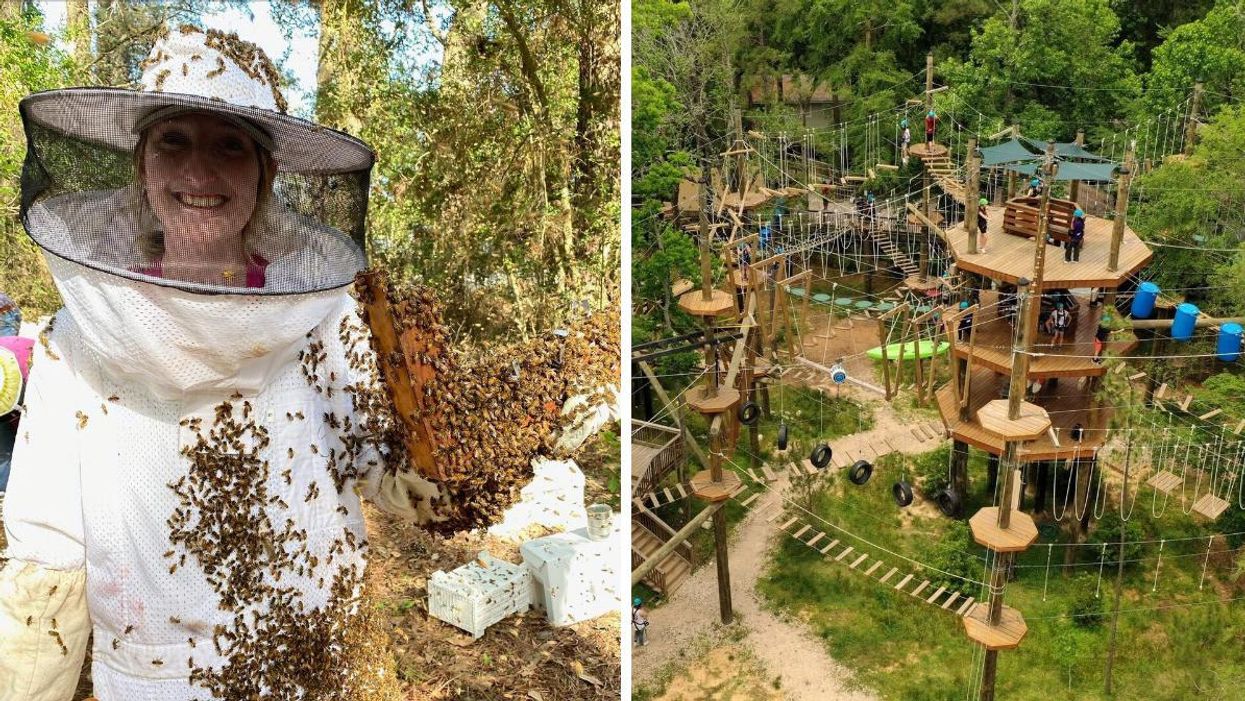 A woman with bees at BeeWeaver Honey Farm. Right: The aerial park at Texas TreeVentures.