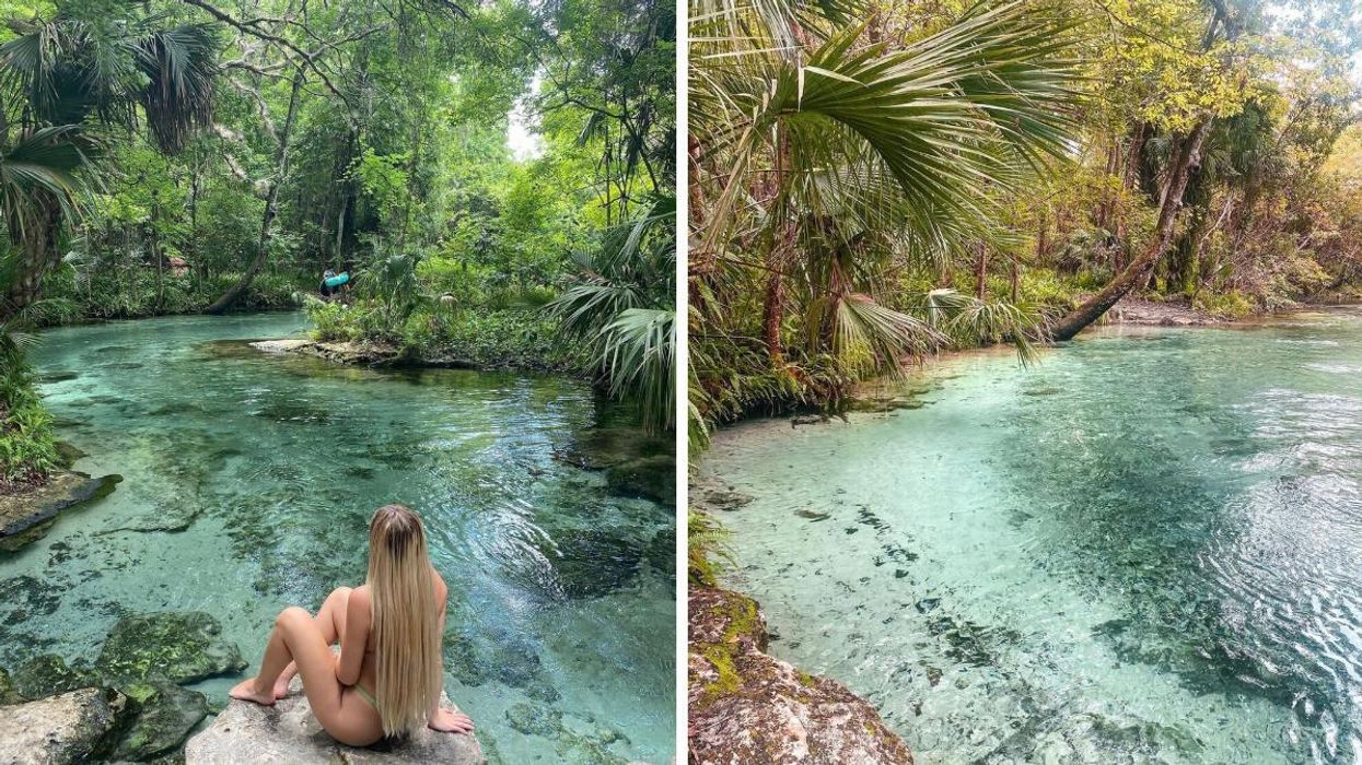 A woman with long hair sitting on a rock overlooking water. Right: The shore of the springs and palm trees.