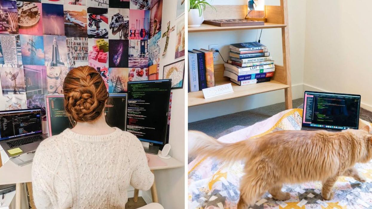 A woman working from her computer. Right: A cat and a computer on a bed.
