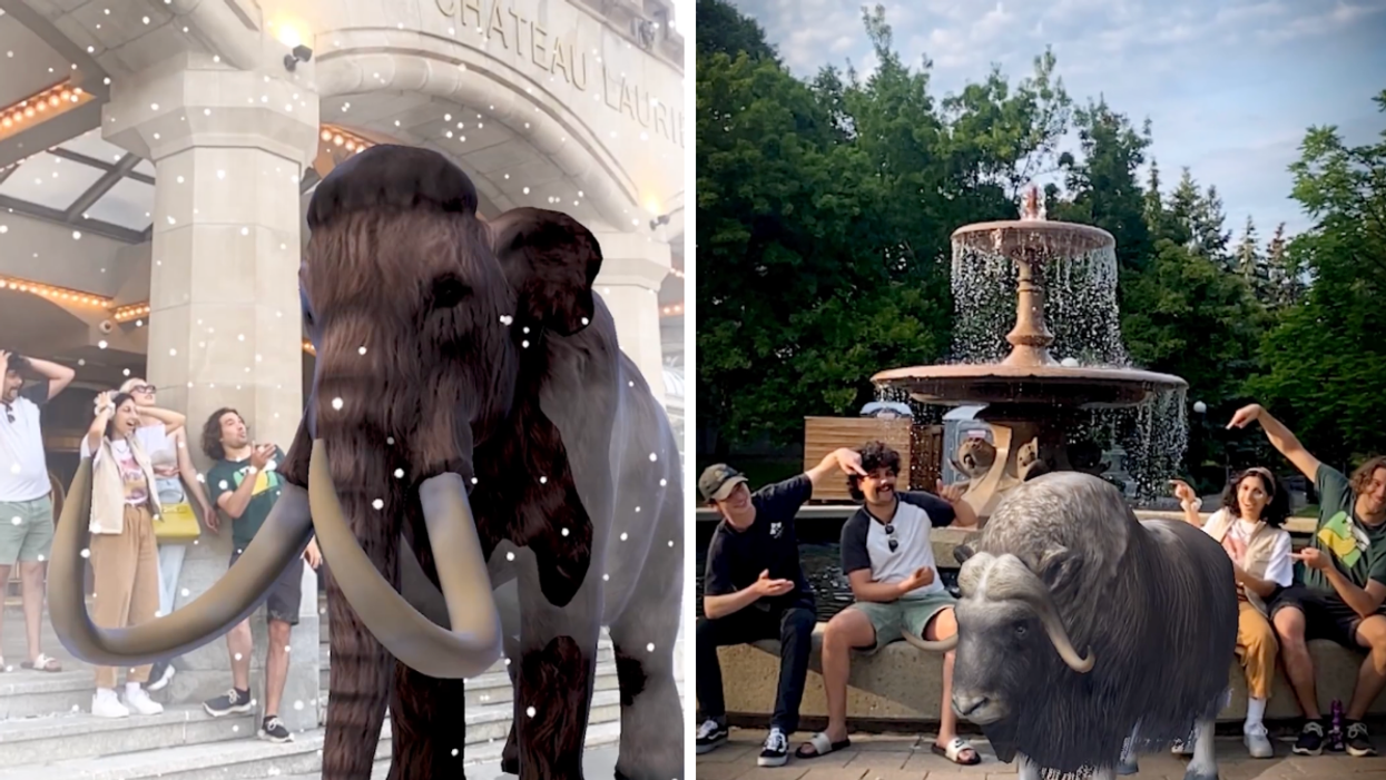 A woolly mammoth image at Chateau Laurier. Right: Virtual ice age animal outside with people.