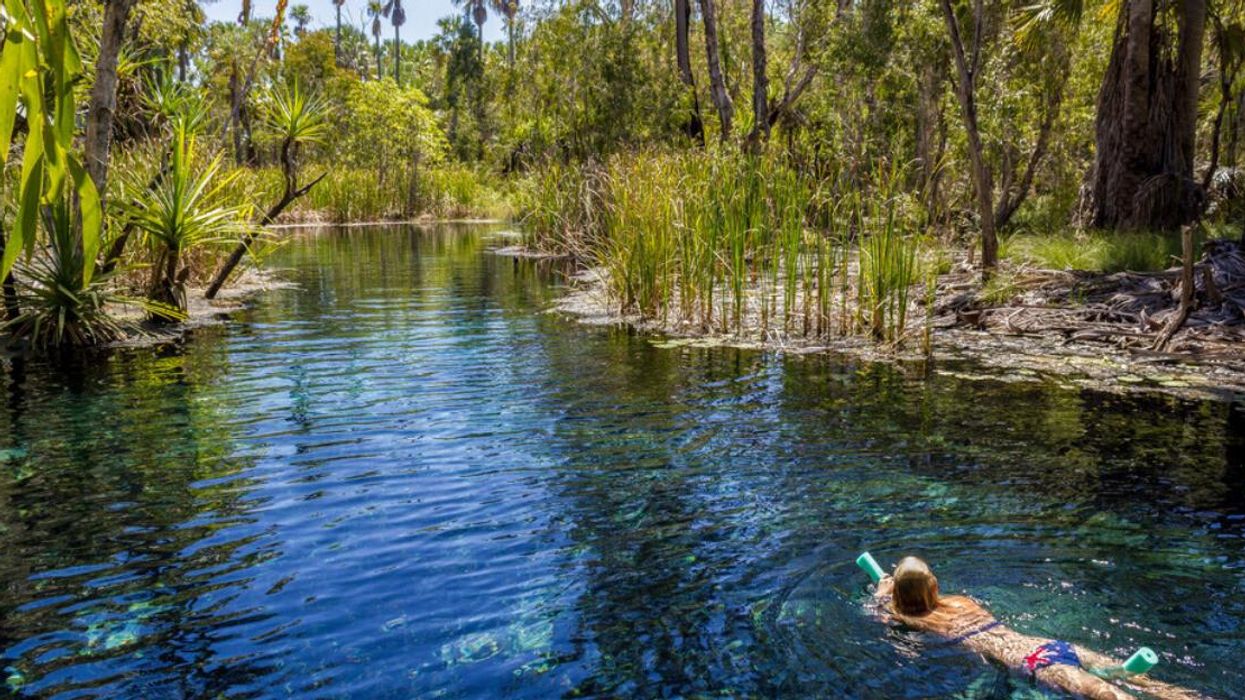 A young woman is swimming in Mataranka Hot Springs in Northern Territory, Australia.