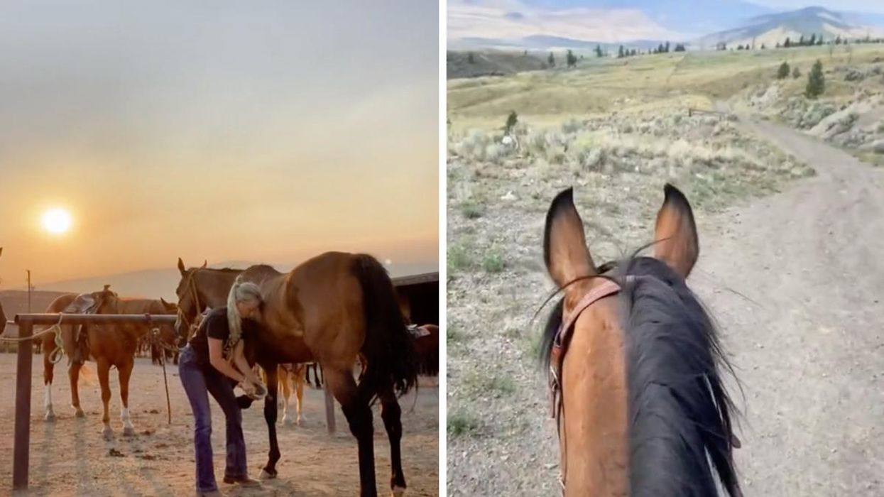 Abi Parry and a horse. Right: Horses.