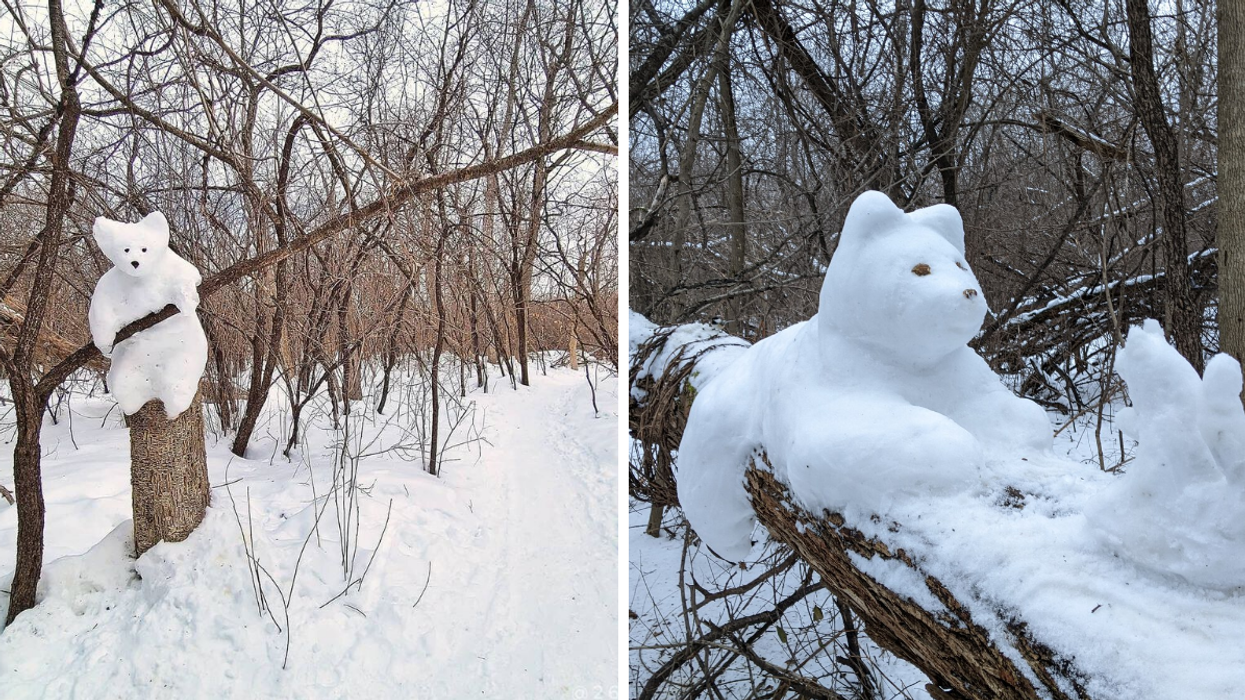 Adorable Snow Bears Are Back In Ottawa & You Can Find Them On This Popular Winter Trail